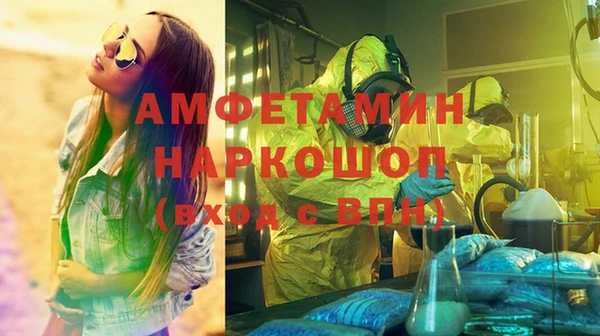 крисы Бронницы