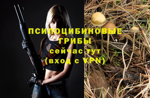 ГАЛЛЮЦИНОГЕННЫЕ ГРИБЫ Тихорецк