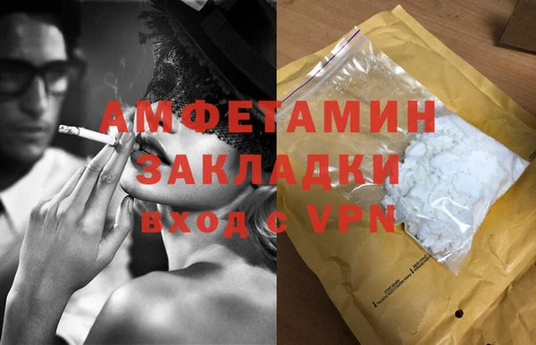 дмт Бородино