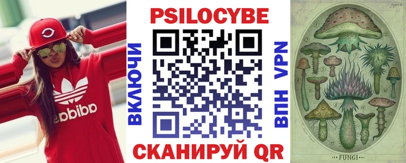 купить наркотик  Киржач  Галлюциногенные грибы ЛСД 