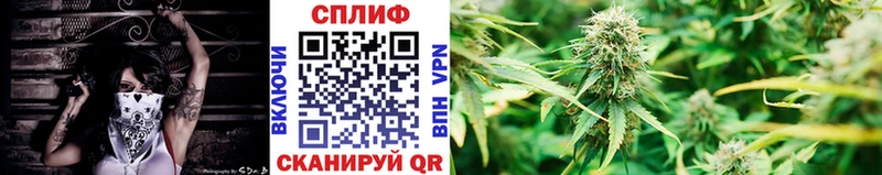 Канабис план  блэк спрут зеркало  Киржач  как найти наркотики 